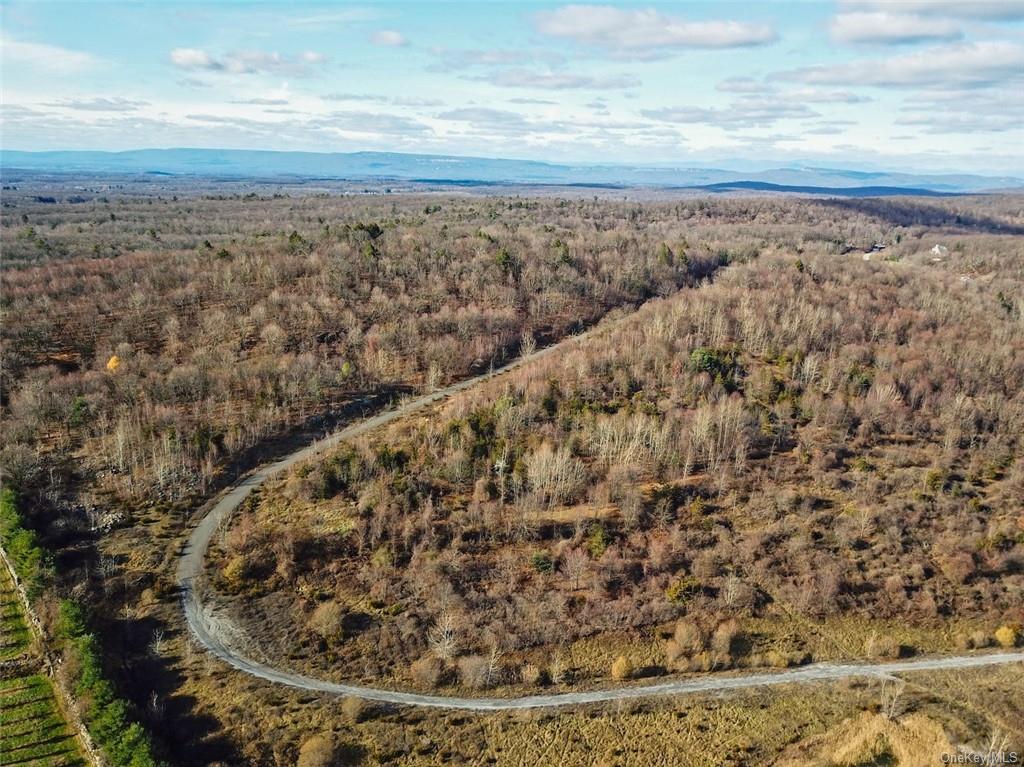 Land Truncali  Ulster, NY 12542, MLS-H6263292-4