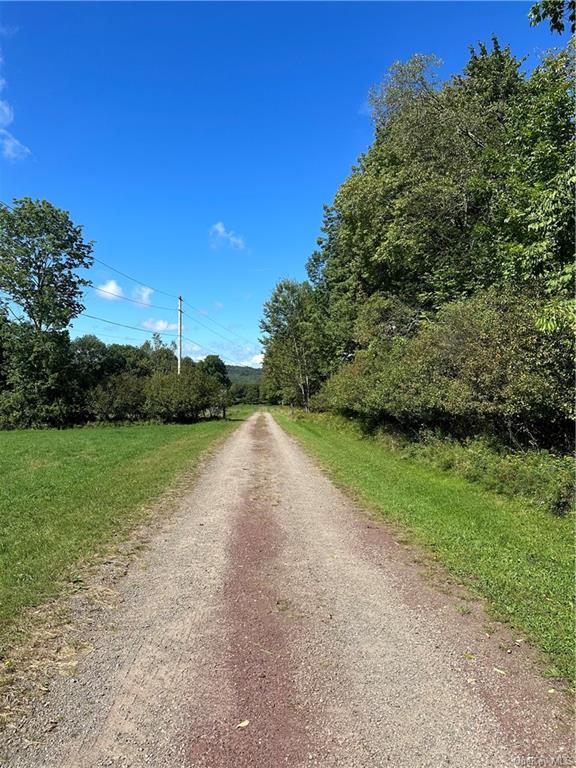 Land Menges  Sullivan, NY 12791, MLS-H6268308-4