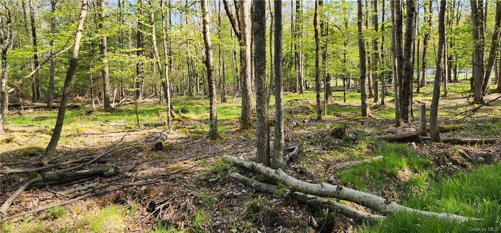 Land Haddock  Sullivan, NY 12701, MLS-H6248318-4