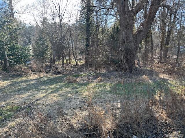 Land Route 209  Ulster, NY 12404, MLS-H6151324-4