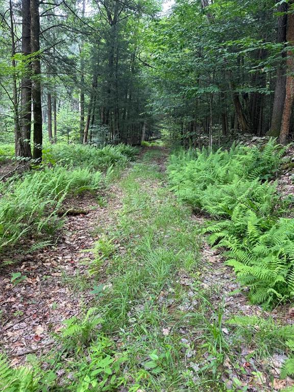 Land State  Sullivan, NY 12754, MLS-H6273347-4