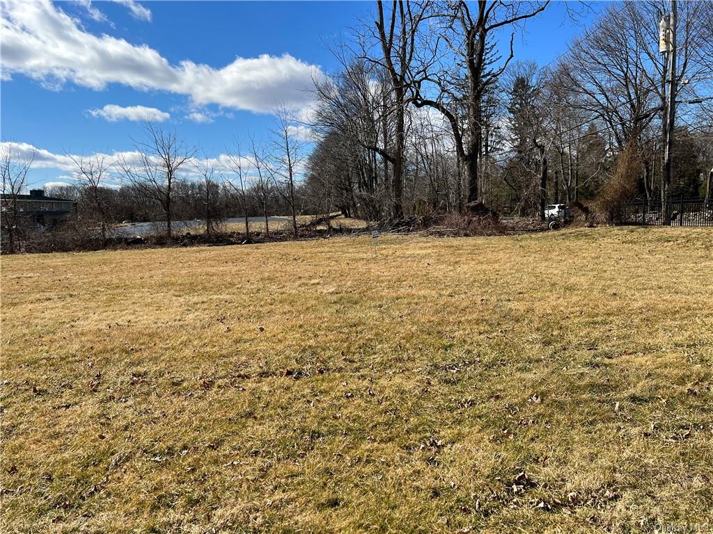 Land Lot # 14 Tower  Westchester, NY 10547, MLS-H6271351-4