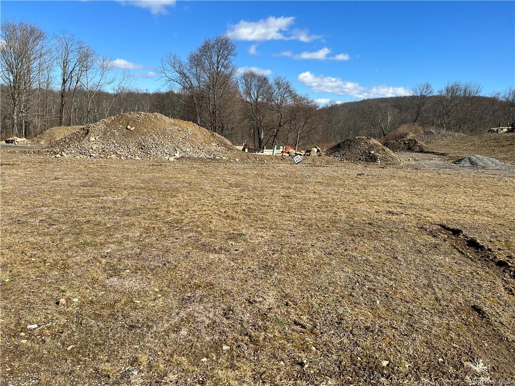 Land Lot #10 Marie  Westchester, NY 10547, MLS-H6271354-4