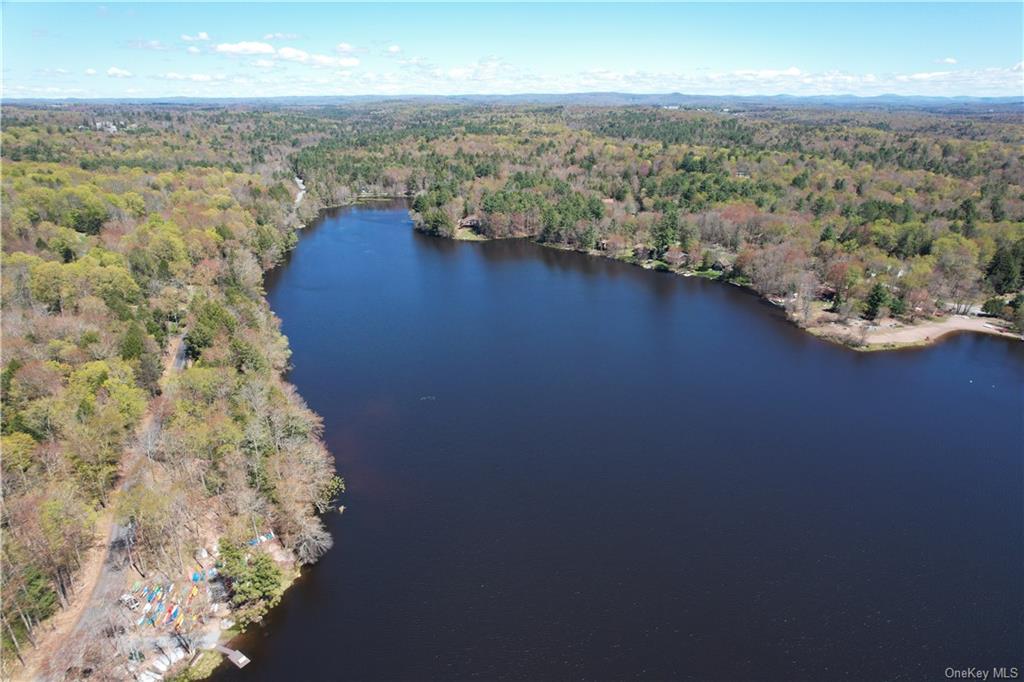 Land Lakeshore  Sullivan, NY 12778, MLS-H6202359-4