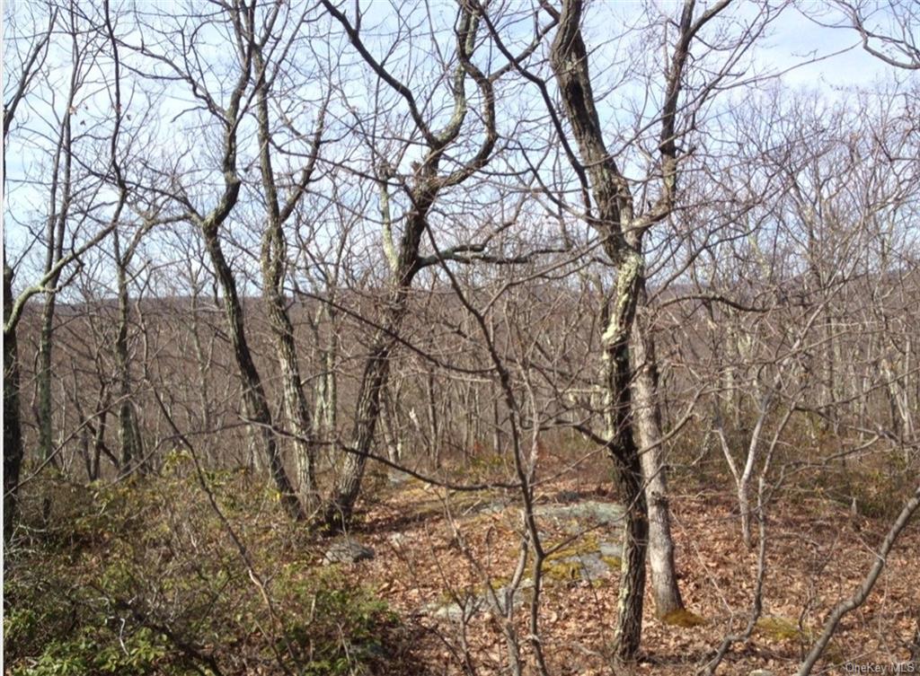 Land White Rock  Dutchess, NY 12531, MLS-H6015368-4