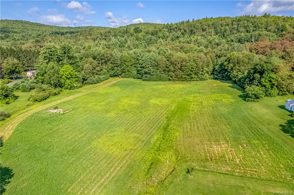 Land Route 209  Ulster, NY 12428, MLS-H6262369-4