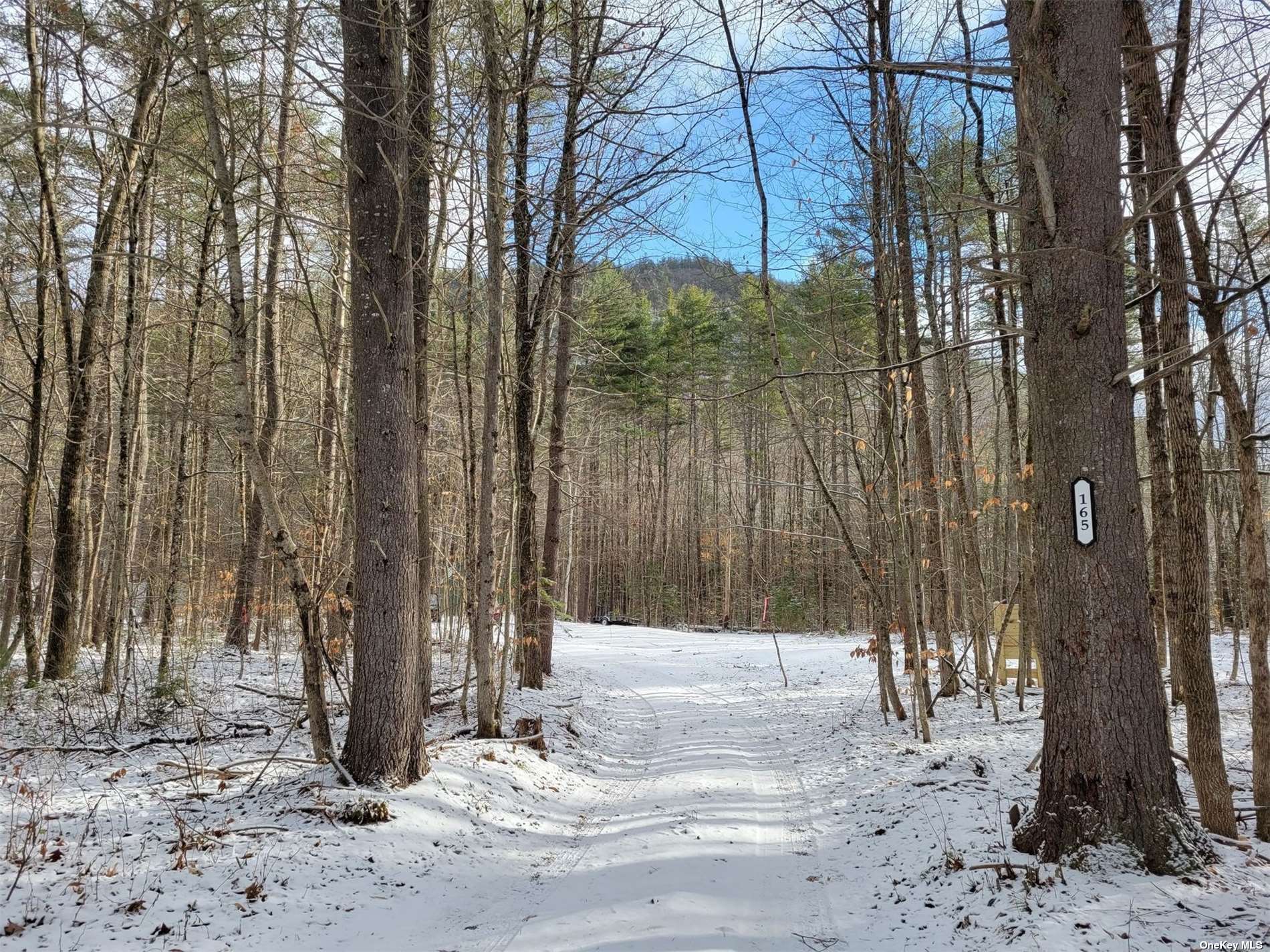 Land Mountain Path  Out Of Area, NY , MLS-3465377-4