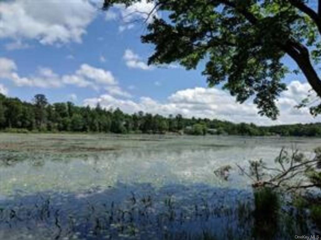 Land Taras Shevchenko Rd/elle  Sullivan, NY 12737, MLS-H6228378-4