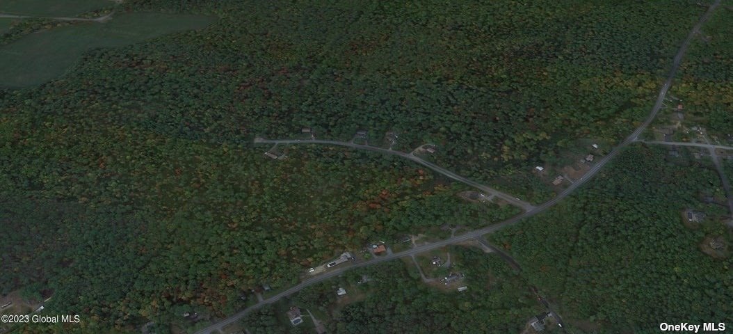 Land Hickory  Out Of Area, NY 12831, MLS-3480387-4