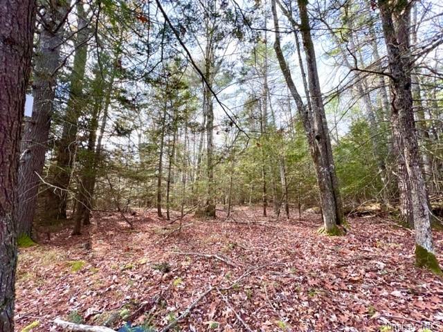 Land Barker  Sullivan, NY 12732, MLS-H6277396-4