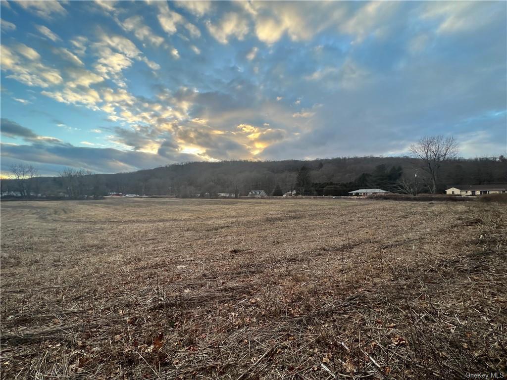 Land Route 22 Lot 1-4  Dutchess, NY 12522, MLS-H6267409-4