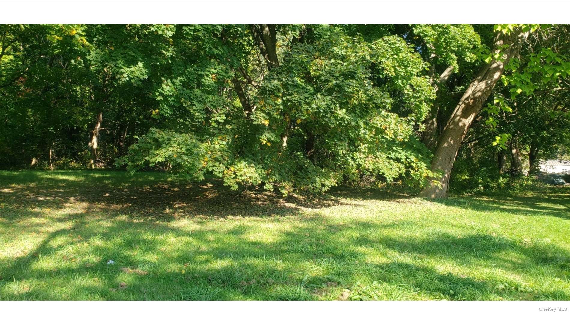 Land N 7th  Out Of Area, NY 13069, MLS-3495417-4