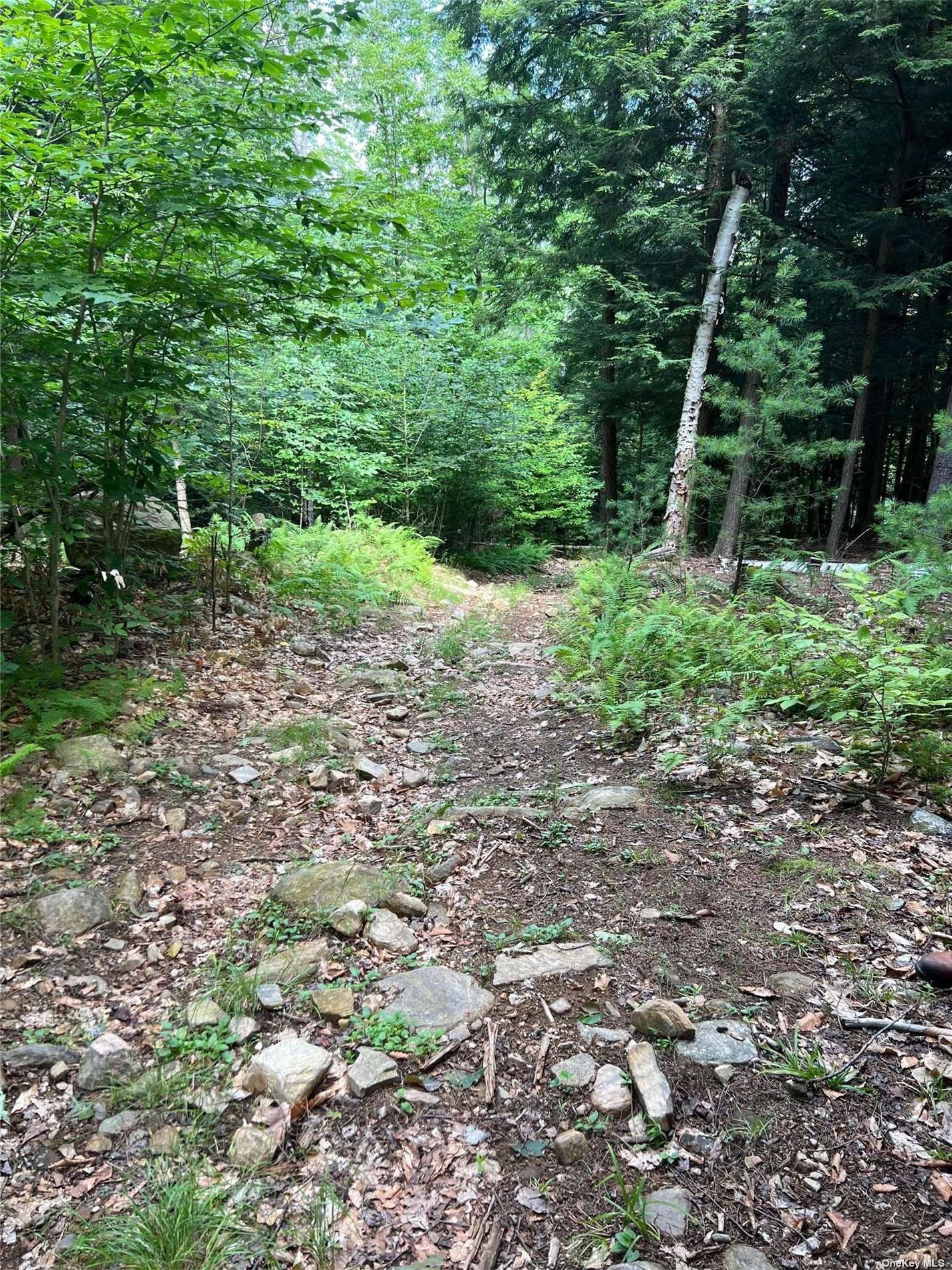 Land Shippee  Out Of Area, NY 12822, MLS-3481425-4