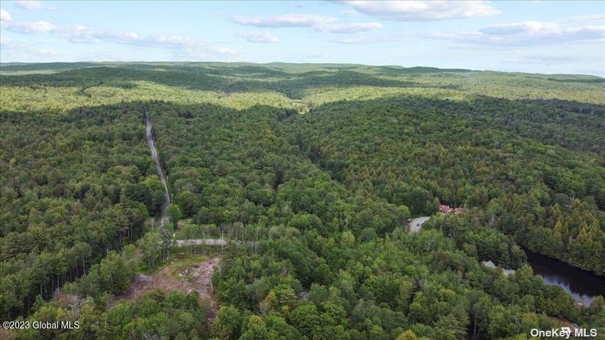 Land Wileytown  Out Of Area, NY 12850, MLS-3481428-4