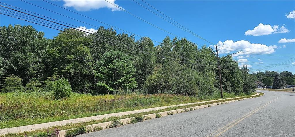 Land Sturgis  Sullivan, NY 12701, MLS-H6204431-4