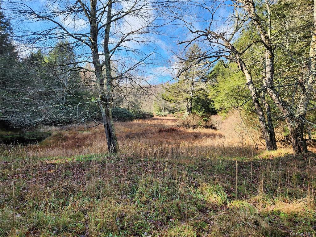 Land Hurd And Parks  Sullivan, NY 12720, MLS-H6219453-4