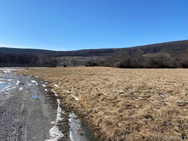 Land Vineyard  Ulster, NY 12528, MLS-H6170462-4