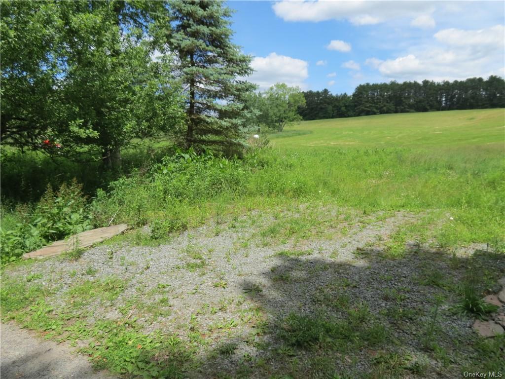 Land Kelly  Sullivan, NY 12726, MLS-H6044507-4