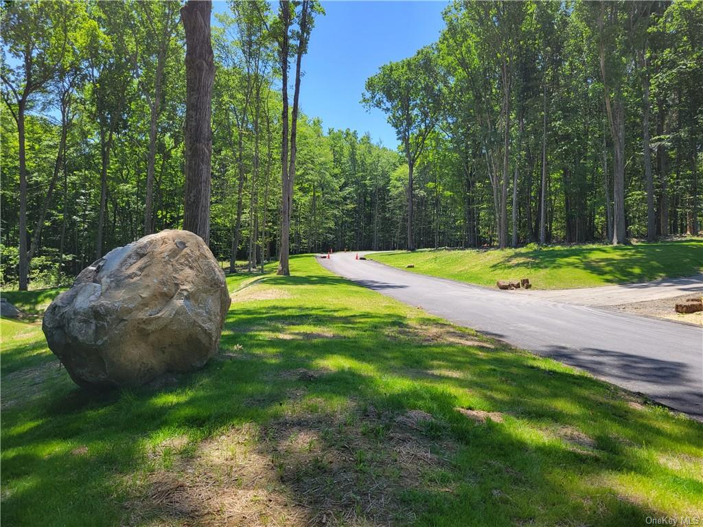 Land Cobbling Rock  Westchester, NY 10536, MLS-H6194528-4