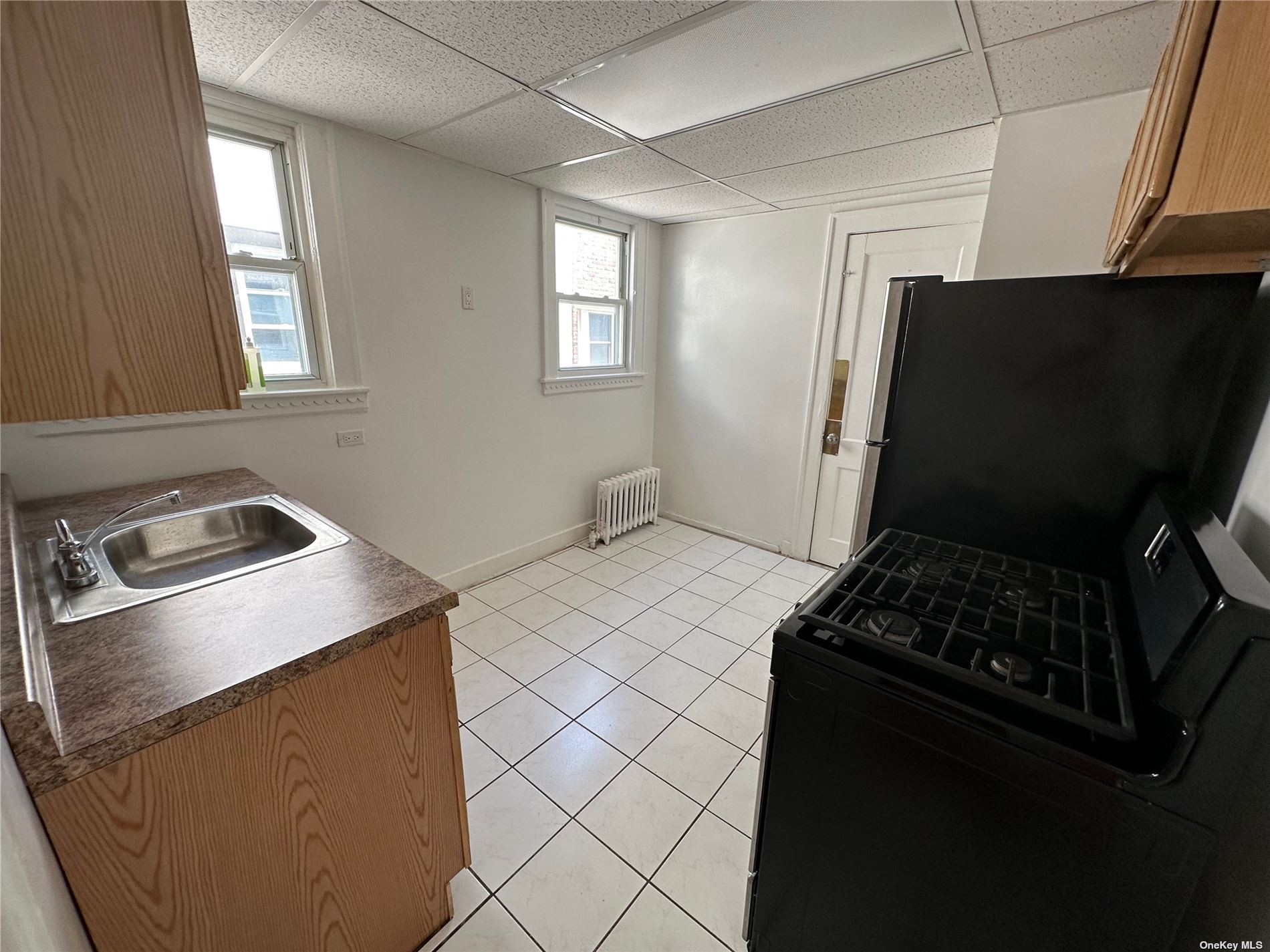 Apartment Beech  Nassau, NY 11561, MLS-3500529-4