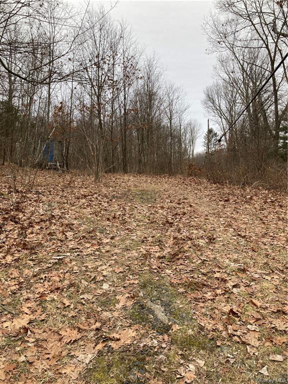 Land 90 Freetown  Ulster, NY 12548, MLS-H6081562-4