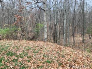 Land Forest  Dutchess, NY 12538, MLS-H6235568-4