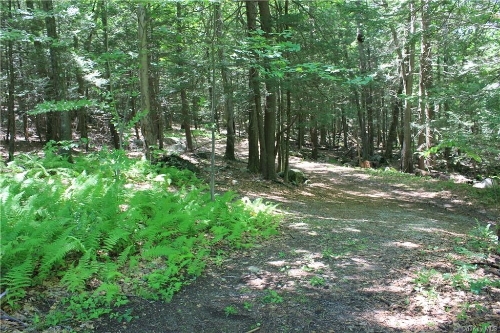 Land Rolling Meadow  Westchester, NY 10576, MLS-H6130576-4