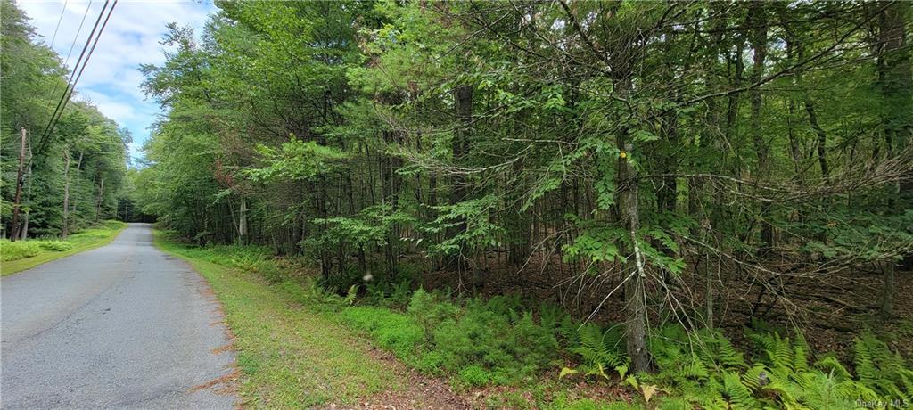Land Hawks Nest  Out Of Area, NY 18428, MLS-H6265593-4