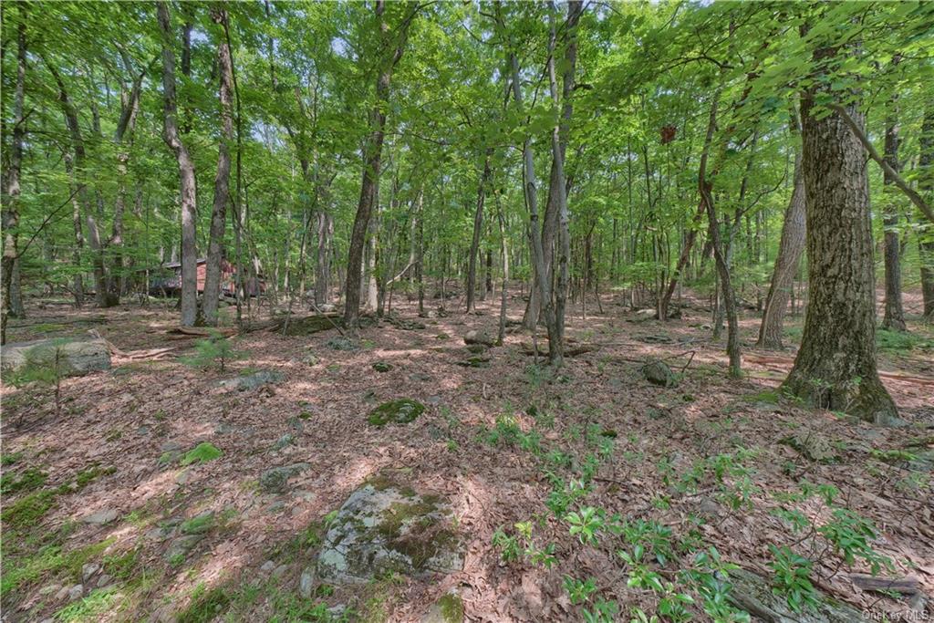 Land Canal  Sullivan, NY 12790, MLS-H6266600-4