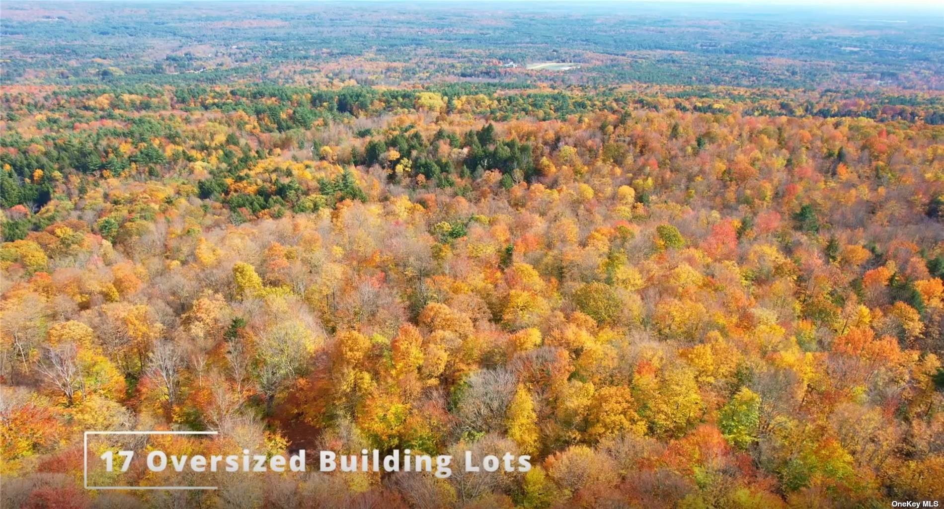 Land Plank  Out Of Area, NY 12859, MLS-3432604-4