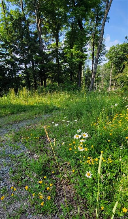 Land Woodard  Sullivan, NY 12768, MLS-H6258638-4