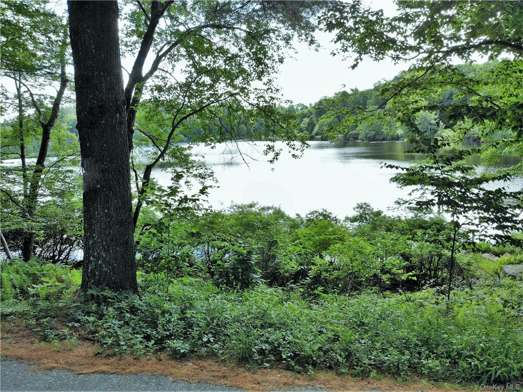 Land Lakeshore  Sullivan, NY 12778, MLS-H6143640-4