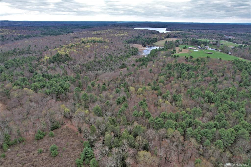 Land Mitchell  Sullivan, NY 12786, MLS-H6243649-4