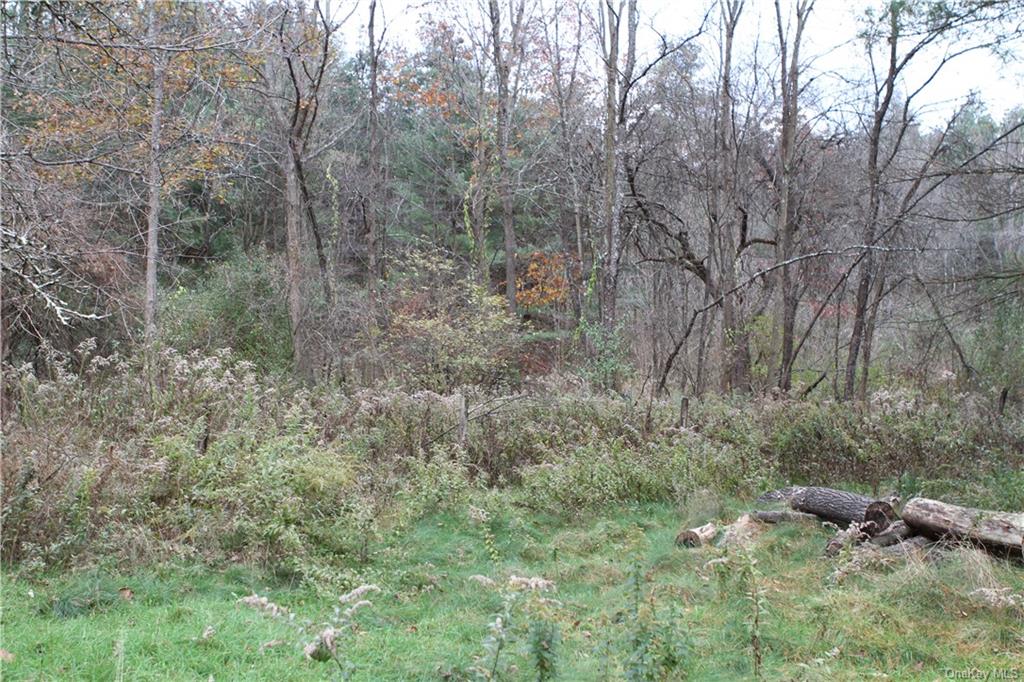 Land Poole Hill  Columbia, NY 12502, MLS-H6277659-4