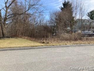 Land Saddle Ridge  Dutchess, NY 12533, MLS-H6234663-4