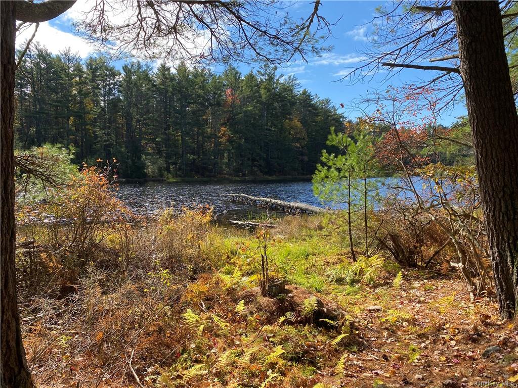 Land Stag Forest  Sullivan, NY 12777, MLS-H6268672-4