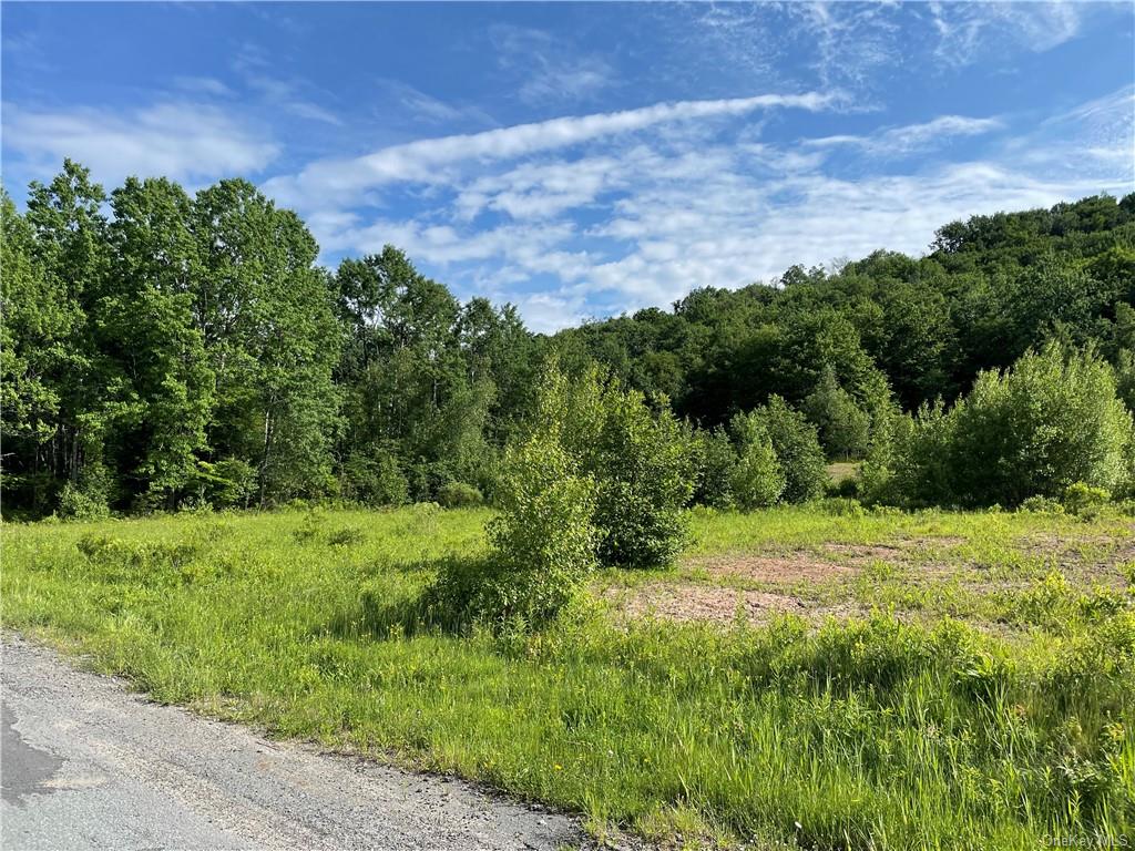 Land Tanzman  Sullivan, NY 12768, MLS-H6123688-4