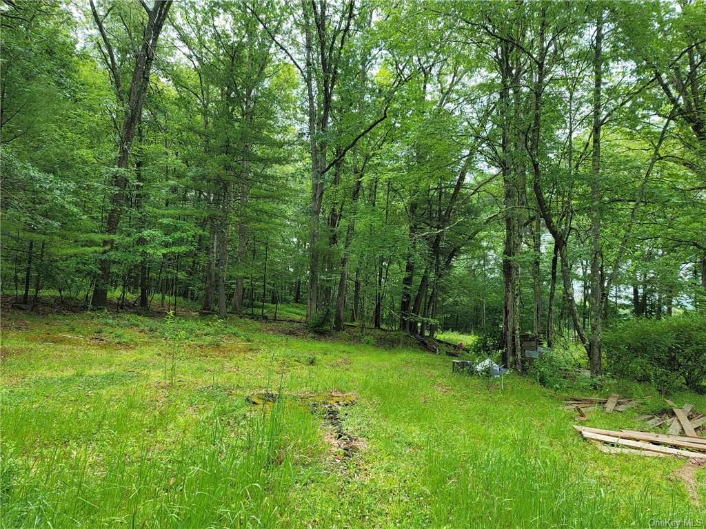 Land Route 97  Sullivan, NY 12764, MLS-H6257688-4