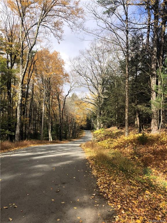 Land Old Tacy  Sullivan, NY 12720, MLS-H6261690-4