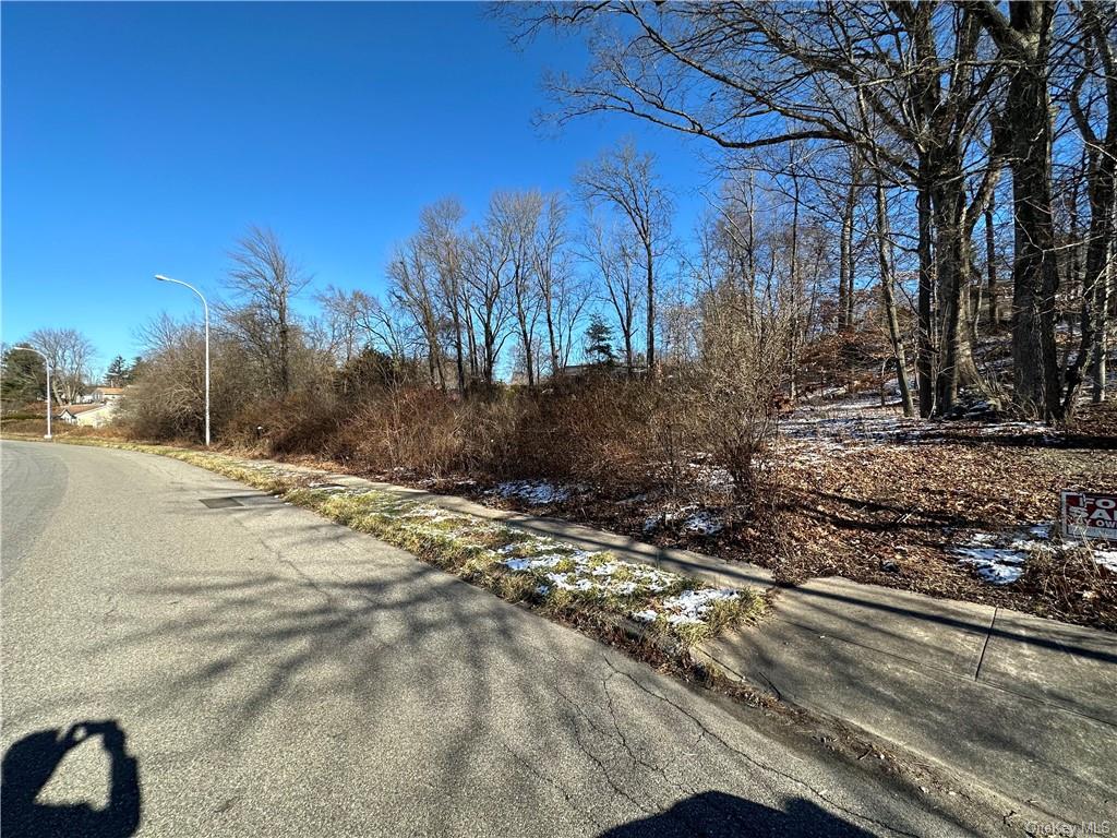 Land Front  Westchester, NY 10598, MLS-H6276695-4