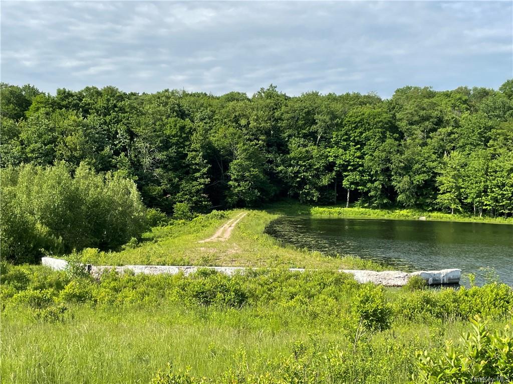 Land Tanzman  Sullivan, NY 12768, MLS-H6123698-4