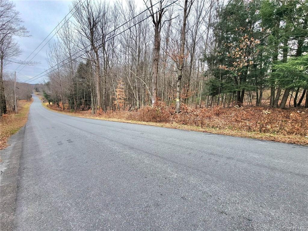 Land Burnt Ridge Road Tr 64  Sullivan, NY 12733, MLS-H6222706-4