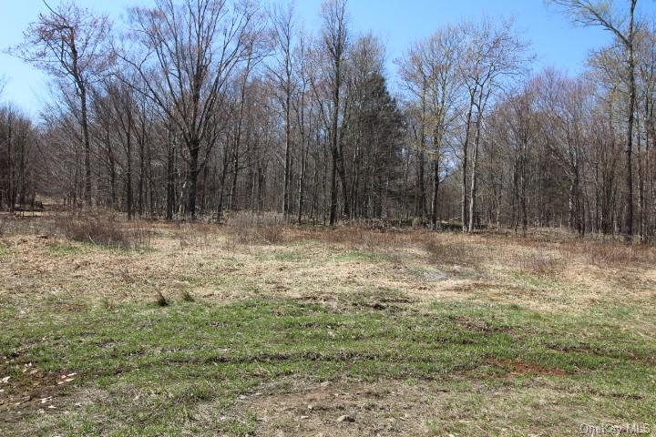 Land Cattail  Sullivan, NY 12758, MLS-H6244708-4