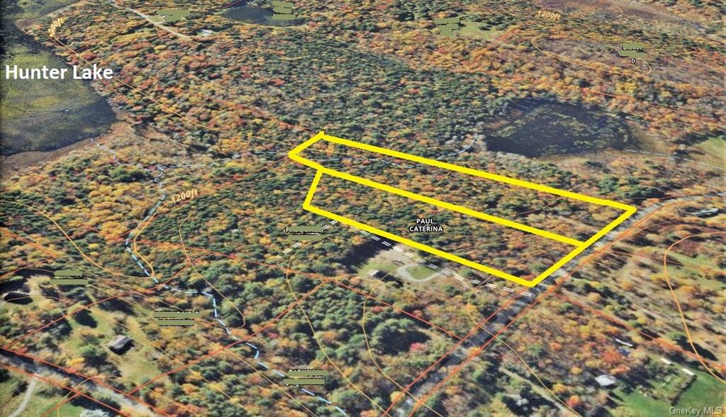 Land Goldsmith  Sullivan, NY 12783, MLS-H6258729-4