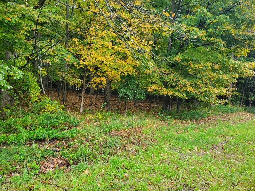 Land Route 303  Rockland, NY 10913, MLS-H6273740-4