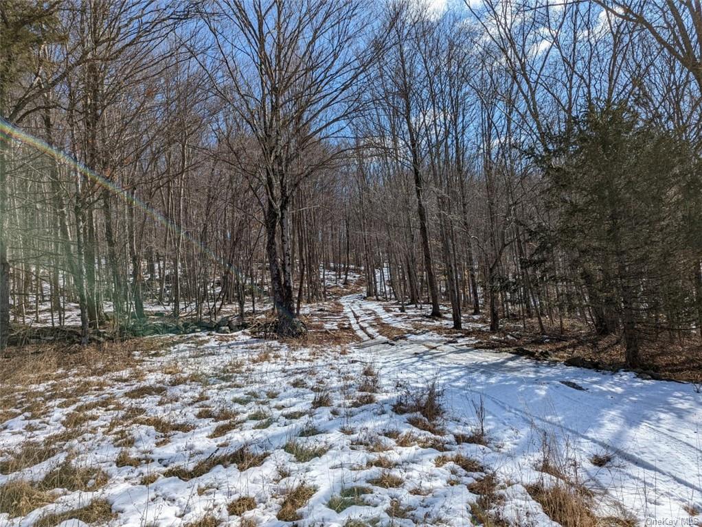 Land 0 Buck Brook Rd Tr10  Sullivan, NY 12736, MLS-H6172755-4