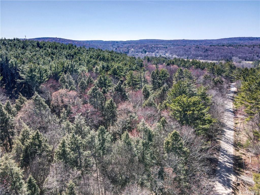 Land Beaver Lane Tr 166  Sullivan, NY 12733, MLS-H6242756-4