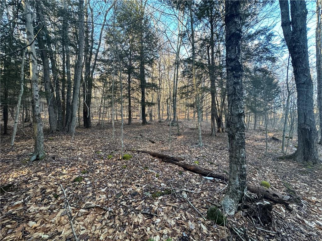 Land Grooville  Sullivan, NY 12758, MLS-H6233770-4