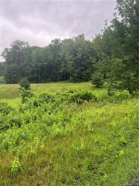 Land Big Hollow  Sullivan, NY 12765, MLS-H6256806-4