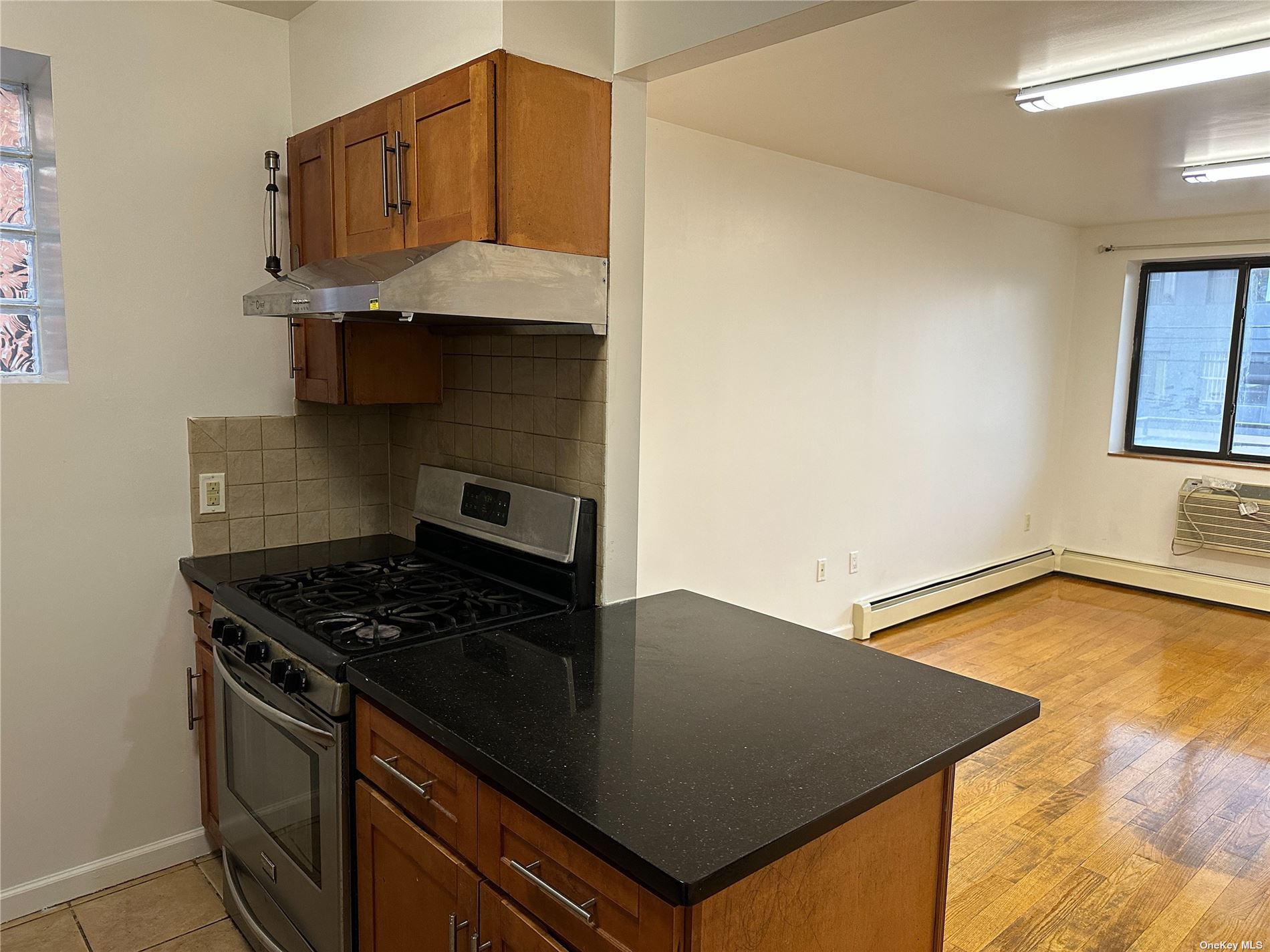 Apartment Whitney Avenue  Queens, NY 11373, MLS-3516807-4